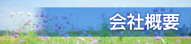 会社概要
