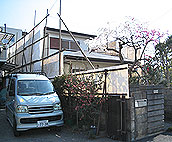 養生