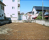 整地完了